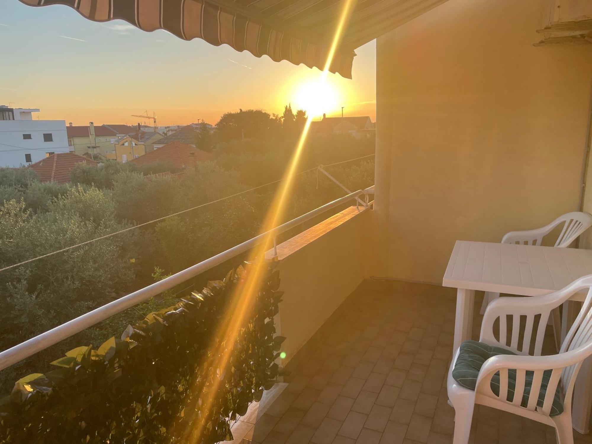 Dalmatina Zadar